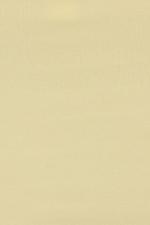 Sleek Scoop Cami Top