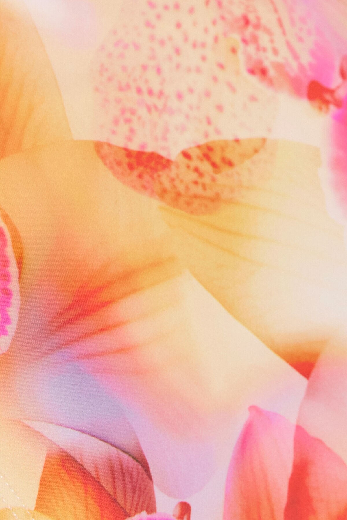 100097130_8AN_alt3_1920x2880